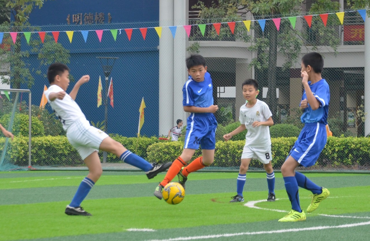 失的现状 失的现状