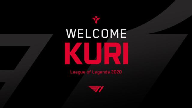 的具象化应 的具象化应