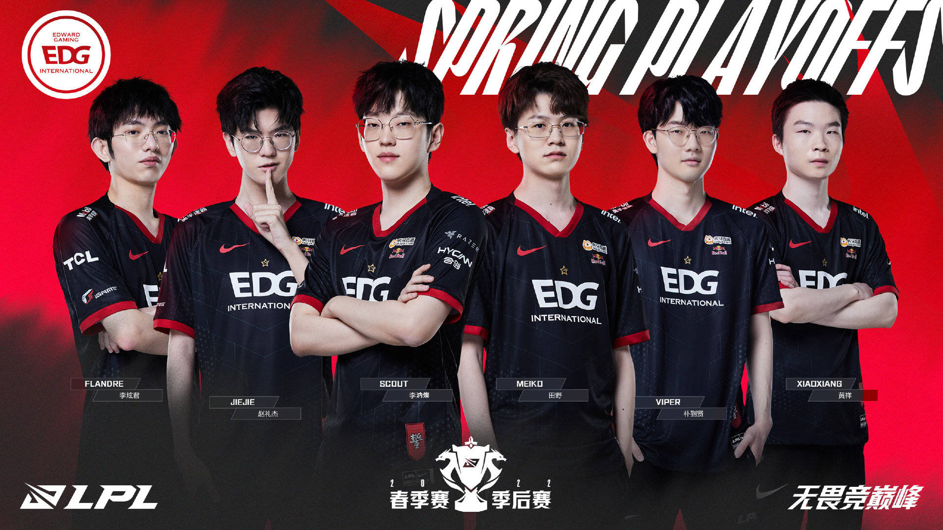 样和支持 样和支持